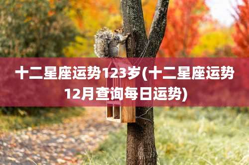 十二星座运势123岁(十二星座运势12月查询每日运势)