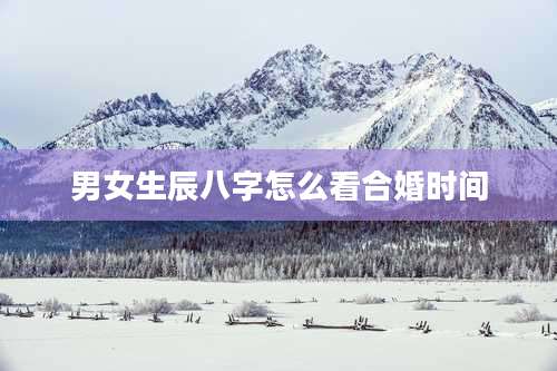 男女生辰八字怎么看合婚时间