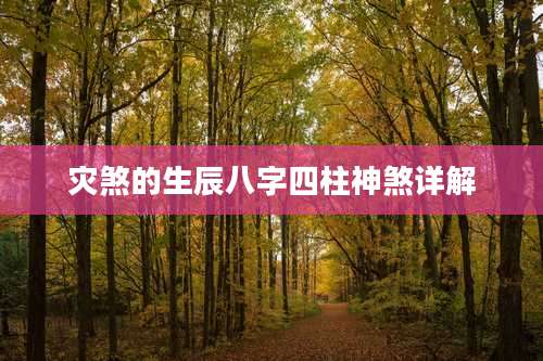 灾煞的生辰八字四柱神煞详解