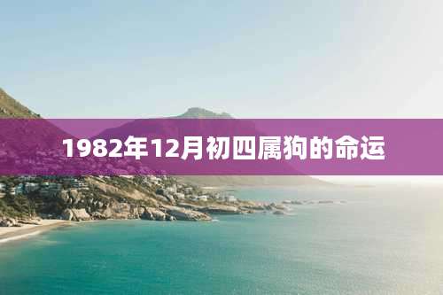 1982年12月初四属狗的命运