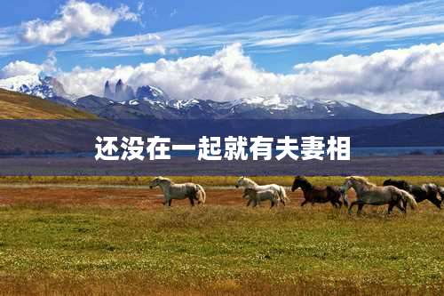 还没在一起就有夫妻相