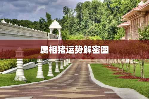 属相猪运势解密图