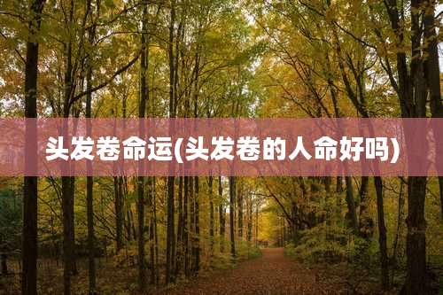 头发卷命运(头发卷的人命好吗)