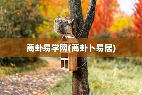 离卦易学网(离卦卜易居)
