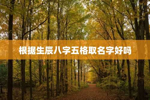 根据生辰八字五格取名字好吗