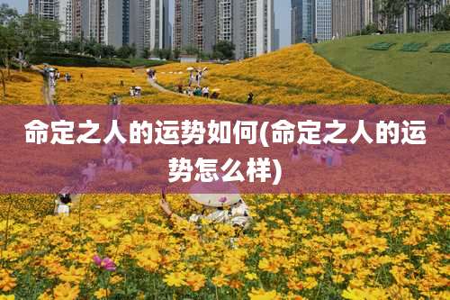 命定之人的运势如何(命定之人的运势怎么样)
