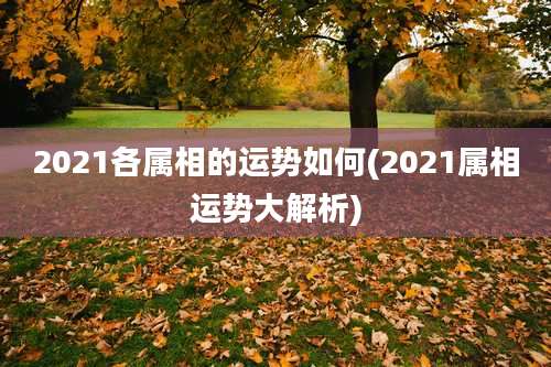 2021各属相的运势如何(2021属相运势大解析)