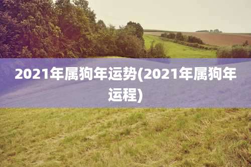 2021年属狗年运势(2021年属狗年运程)