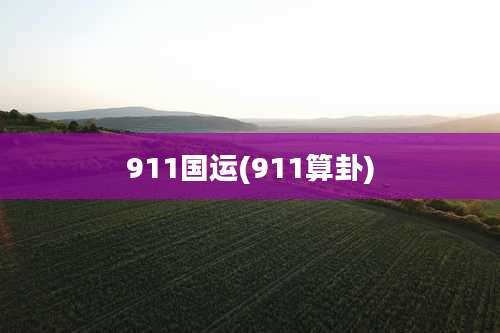 911国运(911算卦)