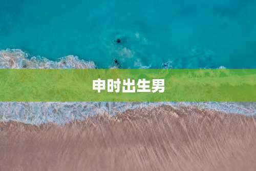 申时出生男