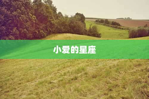 小爱的星座