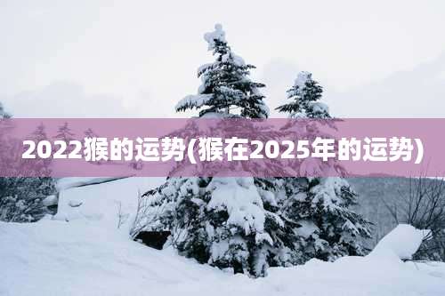 2022猴的运势(猴在2025年的运势)