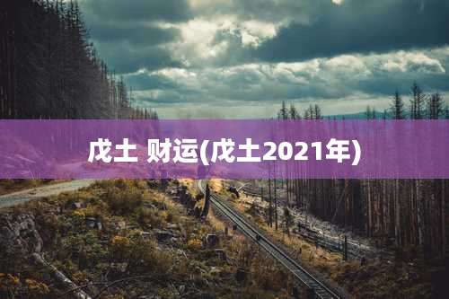 戊土 财运(戊土2021年)