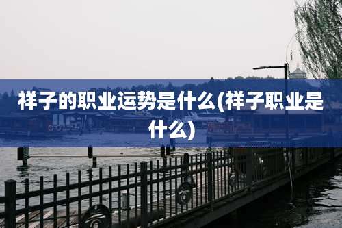 祥子的职业运势是什么(祥子职业是什么)