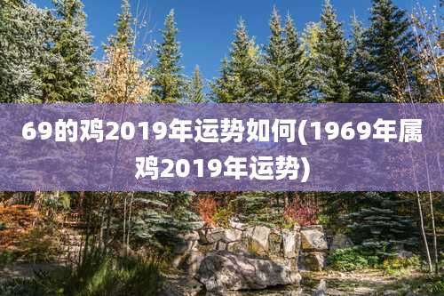 69的鸡2019年运势如何(1969年属鸡2019年运势)