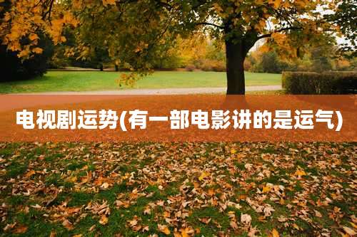 电视剧运势(有一部电影讲的是运气)