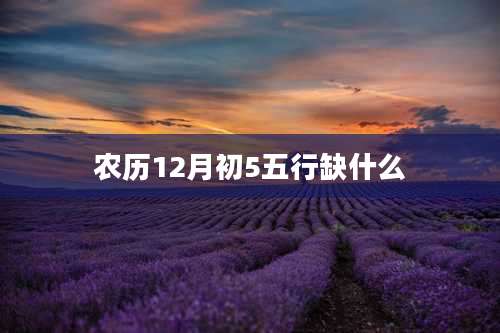 农历12月初5五行缺什么