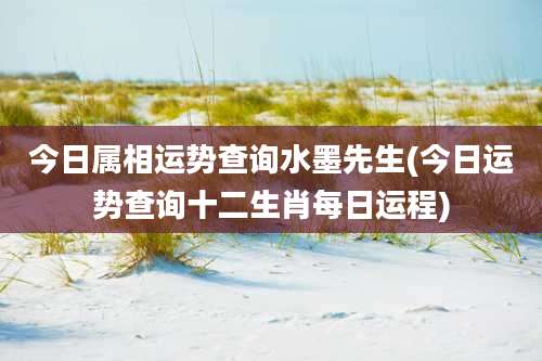 今日属相运势查询水墨先生(今日运势查询十二生肖每日运程)