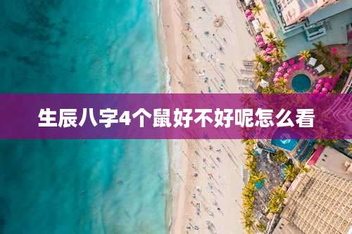 生辰八字4个鼠好不好呢怎么看