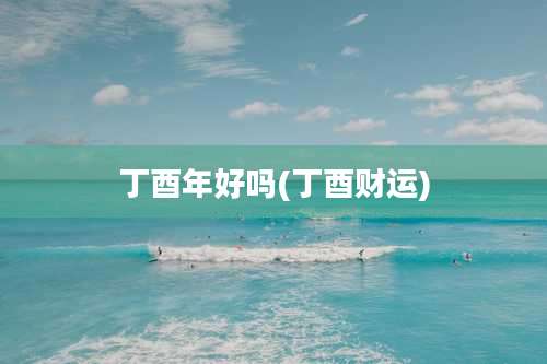 丁酉年好吗(丁酉财运)