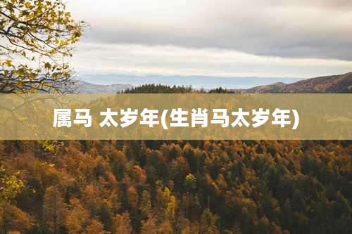 属马 太岁年(生肖马太岁年)