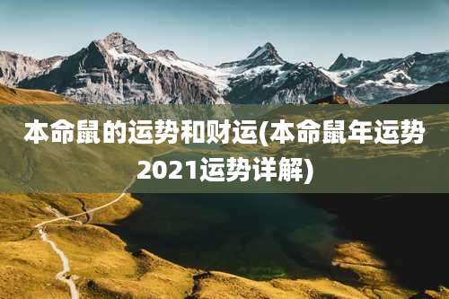 本命鼠的运势和财运(本命鼠年运势2021运势详解)