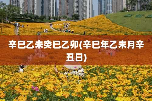 辛巳乙未癸巳乙卯(辛巳年乙未月辛丑日)