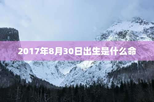 2017年8月30日出生是什么命