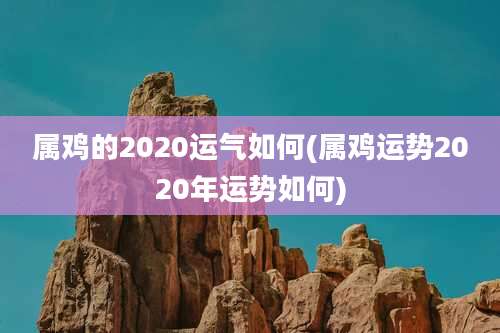 属鸡的2020运气如何(属鸡运势2020年运势如何)