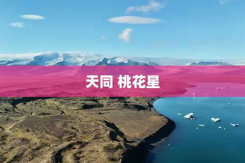 天同 桃花星