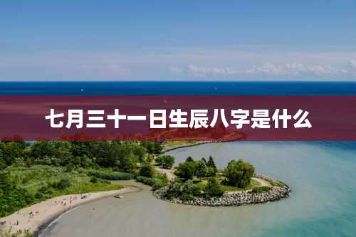 七月三十一日生辰八字是什么