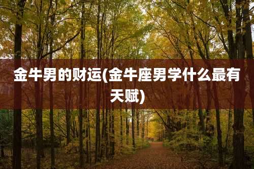 金牛男的财运(金牛座男学什么最有天赋)