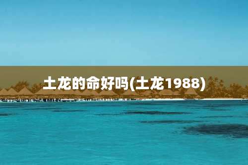 土龙的命好吗(土龙1988)