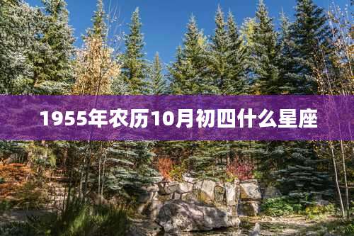 1955年农历10月初四什么星座