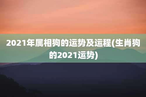 2021年属相狗的运势及运程(生肖狗的2021运势)