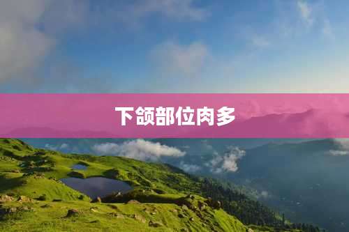 下颌部位肉多