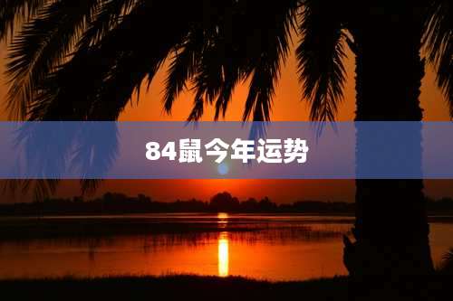 84鼠今年运势