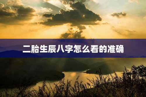 二胎生辰八字怎么看的准确