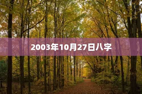 2003年10月27日八字