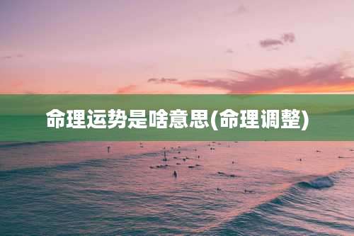命理运势是啥意思(命理调整)