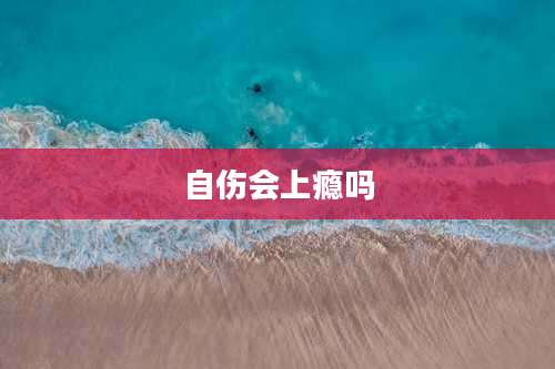 自伤会上瘾吗