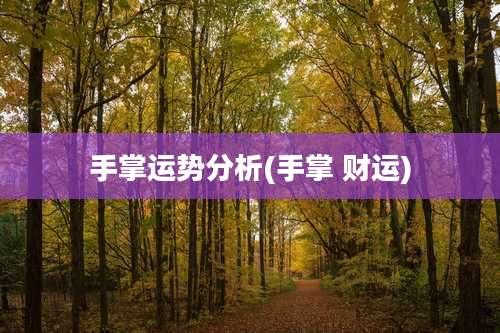手掌运势分析(手掌 财运)