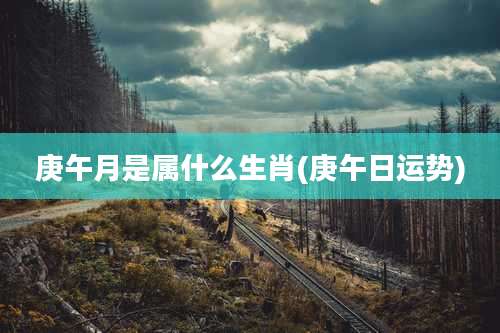 庚午月是属什么生肖(庚午日运势)