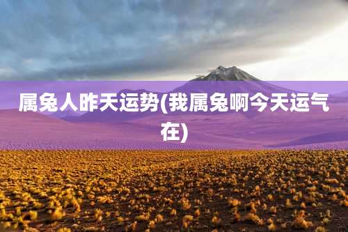 属兔人昨天运势(我属兔啊今天运气在)