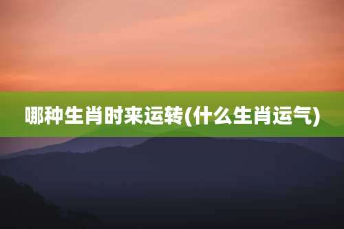 哪种生肖时来运转(什么生肖运气)