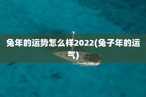 兔年的运势怎么样2022(兔子年的运气)