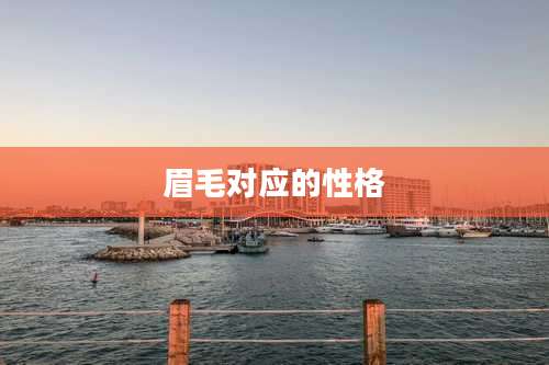 眉毛对应的性格