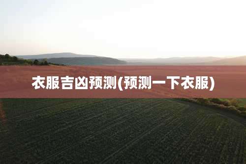 衣服吉凶预测(预测一下衣服)