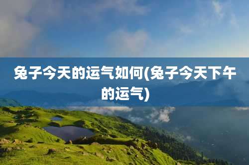 兔子今天的运气如何(兔子今天下午的运气)