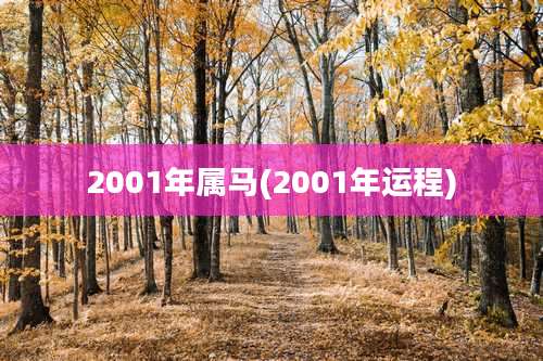2001年属马(2001年运程)